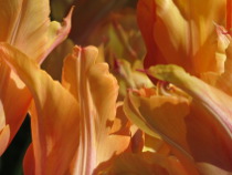 Preview - Click to zoom